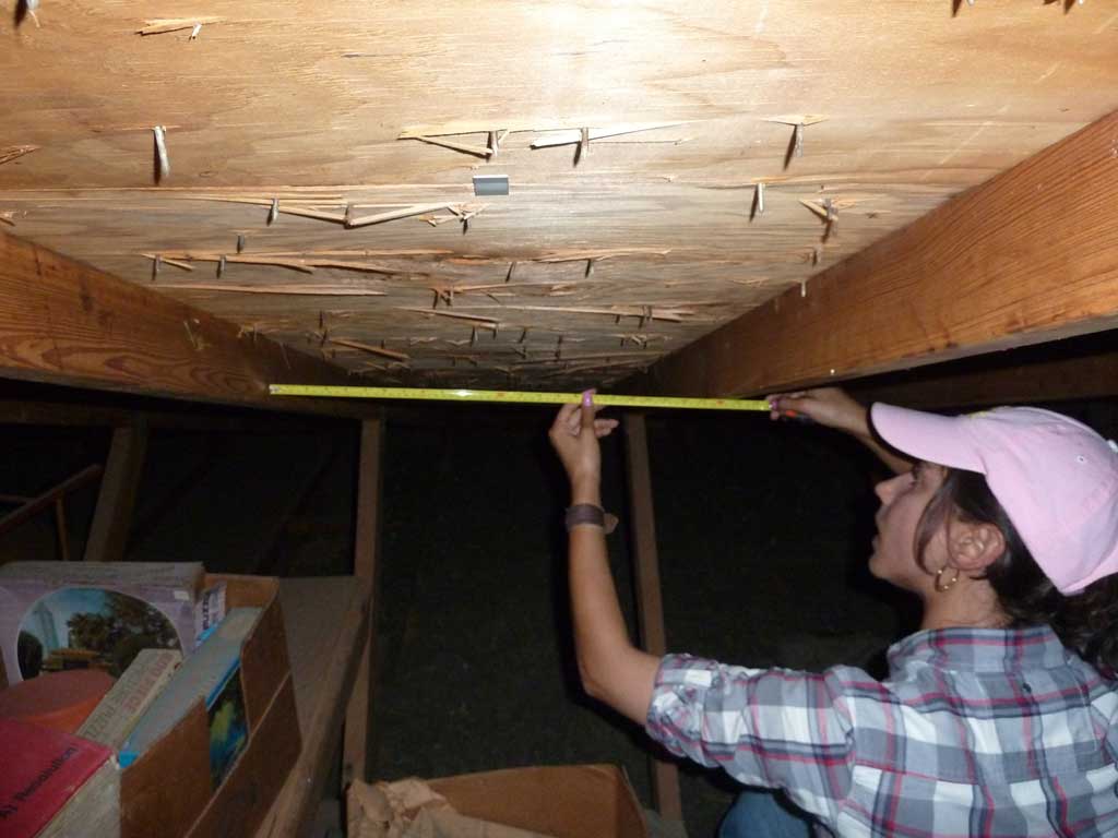 Absolute Professional Roofing Contractors — roofing work — DFW Metro